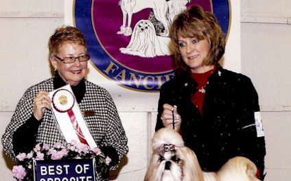 New Grand Champion: GCH. Amitzu Special Edition