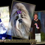 Alora, Fall of 2011 & New Champion