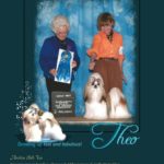 Theo Group Wins