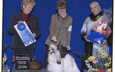 GCH Amitzu China’s Got the Look