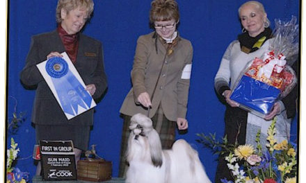 GCH Amitzu China’s Got the Look