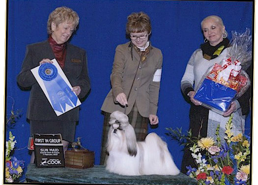 GCH Amitzu China’s Got the Look