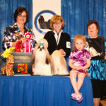 “Theo’s” Great Win at USA Shih Tzu National