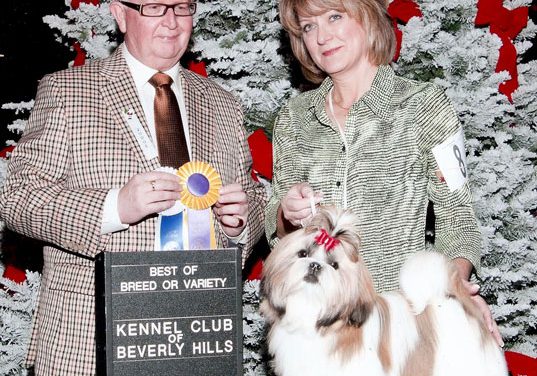 News for 12/01/2010
