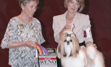 Amitzu Special Edition getting his 1st Major in Reno August 21st, Judge: Gay Dunlap