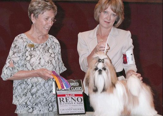 Amitzu Special Edition getting his 1st Major in Reno August 21st, Judge: Gay Dunlap