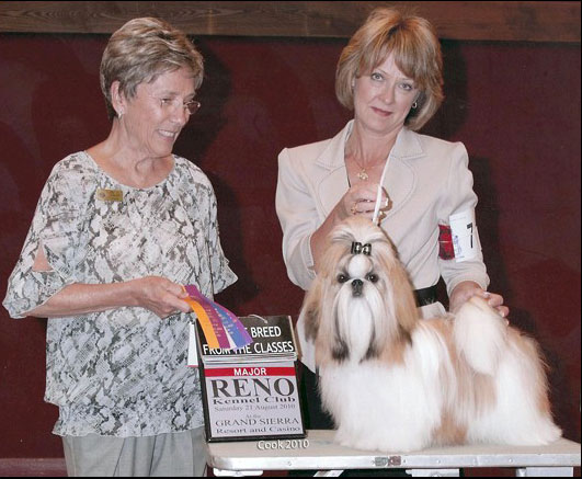 Amitzu Special Edition getting his 1st Major in Reno August 21st, Judge: Gay Dunlap