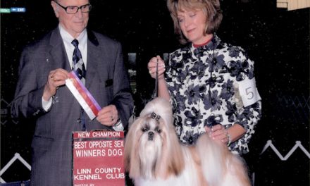 News for 02/11/2011