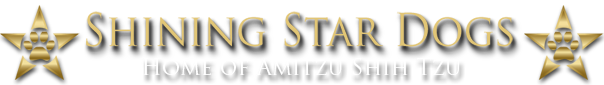 Shining Star Dogs
